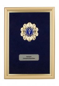 Достижения компании за 2017 год
