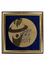 Достижения компании за 2017 год