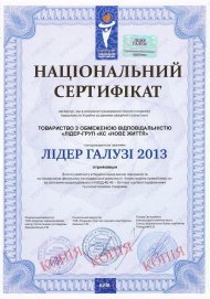 Достижения компании за 2013 год (и ранее)