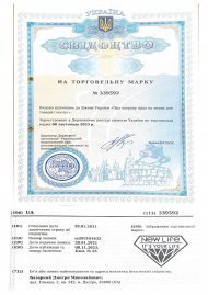 Інтелектуальна власність