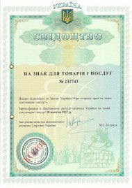 Інтелектуальна власність