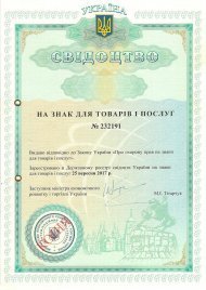 Інтелектуальна власність