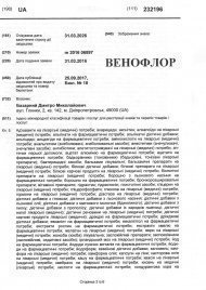 Інтелектуальна власність