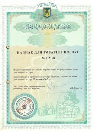 Інтелектуальна власність