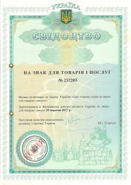 Інтелектуальна власність