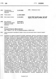 Інтелектуальна власність