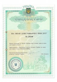 Інтелектуальна власність