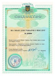 Інтелектуальна власність