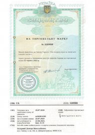 Інтелектуальна власність