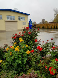 Лідери компанії «НОВЕ ЖИТТЯ» на виробництві