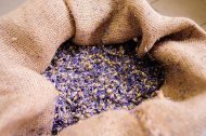 Лідери компанії «НОВЕ ЖИТТЯ» на виробництві