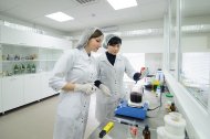 Лідери компанії «НОВЕ ЖИТТЯ» на виробництві