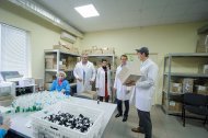 Святкова Презентація ТМ «НОВЕ ЖИТТЯ»