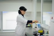 Святкова Презентація ТМ «НОВЕ ЖИТТЯ»