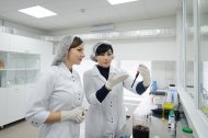 Святкова Презентація ТМ «НОВЕ ЖИТТЯ»