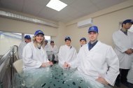 Святкова Презентація ТМ «НОВЕ ЖИТТЯ»