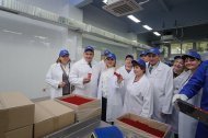 Святкова Презентація ТМ «НОВЕ ЖИТТЯ»