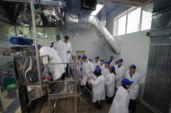 Святкова Презентація ТМ «НОВЕ ЖИТТЯ»