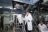 Святкова Презентація ТМ «НОВЕ ЖИТТЯ»
