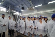 Святкова Презентація ТМ «НОВЕ ЖИТТЯ»