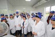 Святкова Презентація ТМ «НОВЕ ЖИТТЯ»