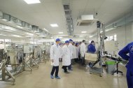 Святкова Презентація ТМ «НОВЕ ЖИТТЯ»