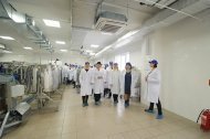 Святкова Презентація ТМ «НОВЕ ЖИТТЯ»