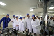 Святкова Презентація ТМ «НОВЕ ЖИТТЯ»
