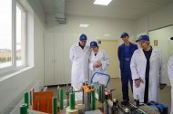 Святкова Презентація ТМ «НОВЕ ЖИТТЯ»