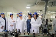 Святкова Презентація ТМ «НОВЕ ЖИТТЯ»