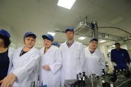 Святкова Презентація ТМ «НОВЕ ЖИТТЯ»