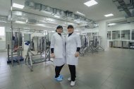 Святкова Презентація ТМ «НОВЕ ЖИТТЯ»