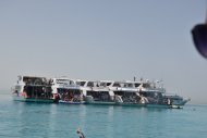 Діамантові канікули команди Коронованих Майстрів Ганни та Володимира Моргун Єгипет 2021г.