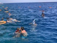 ОТДЫХ С КОМПАНИЕЙ NEW LIFE в Египте Козаковой Елены Васильевны - Двойной Бриллиантовый Директор