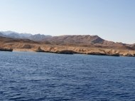 Діамантові канікули команди Коронованих Майстрів Володимира та Анни Моргун, Єгипет 2019