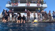 Діамантові канікули команди Коронованих Майстрів Володимира та Анни Моргун, Єгипет 2019