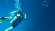 Діамантові канікули команди Коронованих Майстрів Володимира та Анни Моргун, Єгипет 2019